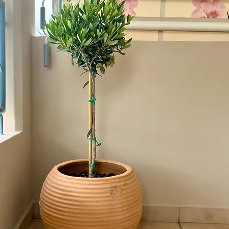 Domus Philippi & Parking Appartement Larissa